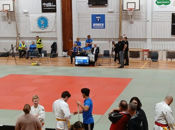 judo aesthetic