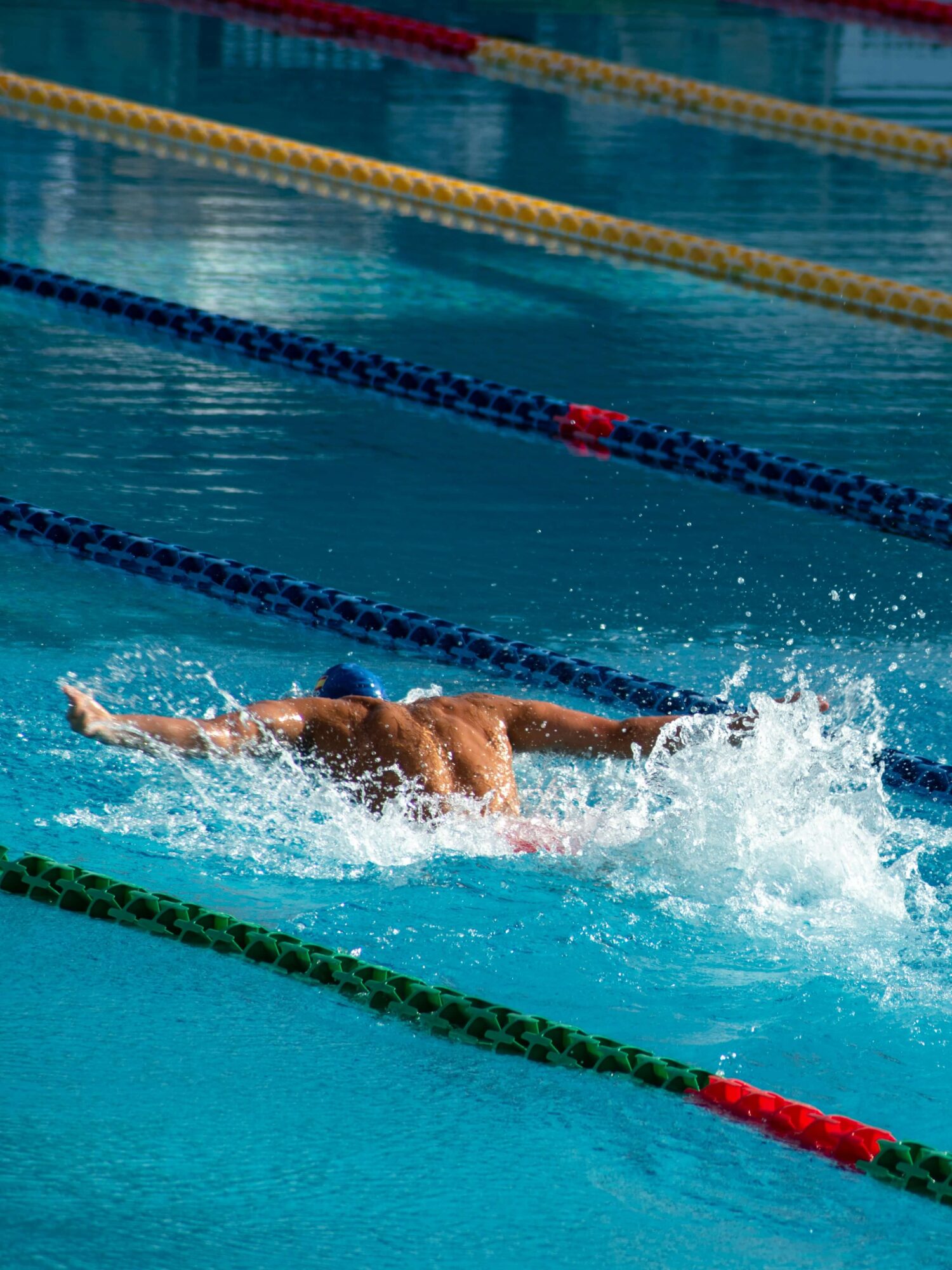 swimmer